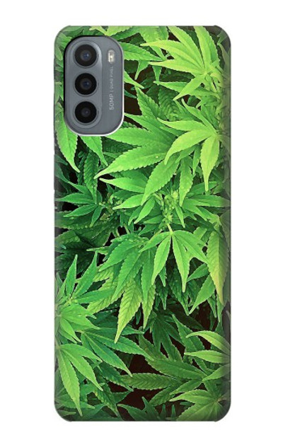 S1656 Marijuana Plant Case Cover Custodia per Motorola Moto G31
