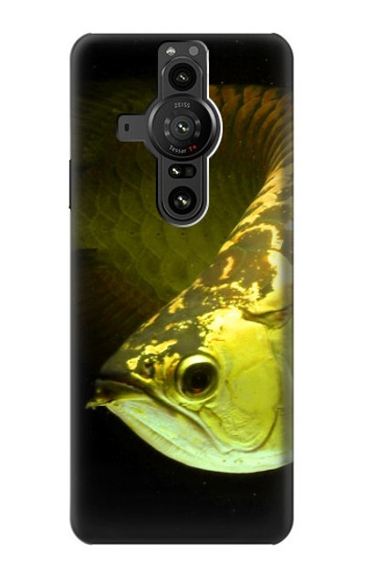 S1021 Gold Arowana Fish Case Cover Custodia per Sony Xperia Pro-I S1021 Gold Arowana Fish Case Cover Custodia per Sony Xperia Pro-I