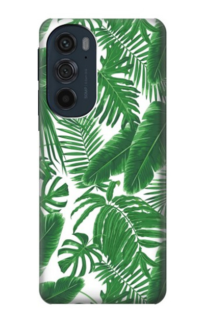 S3457 Paper Palm Monstera Case Cover Custodia per Motorola Edge 30 Pro