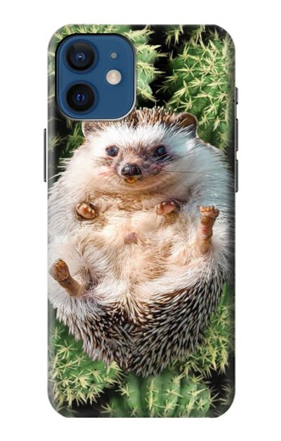 S3863 Pygmy Hedgehog Dwarf Hedgehog Paint Case Cover Custodia per iPhone 12 mini