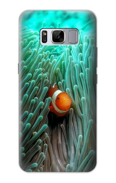 S3893 Ocellaris clownfish Case Cover Custodia per Samsung Galaxy S8