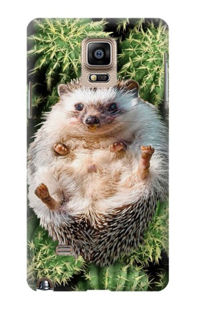 S3863 Pygmy Hedgehog Dwarf Hedgehog Paint Case Cover Custodia per Samsung Galaxy Note 4