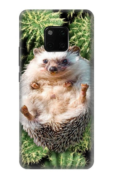 S3863 Pygmy Hedgehog Dwarf Hedgehog Paint Case Cover Custodia per Huawei Mate 20 Pro