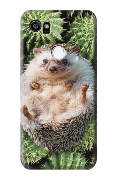 S3863 Pygmy Hedgehog Dwarf Hedgehog Paint Case Cover Custodia per Google Pixel 2 XL