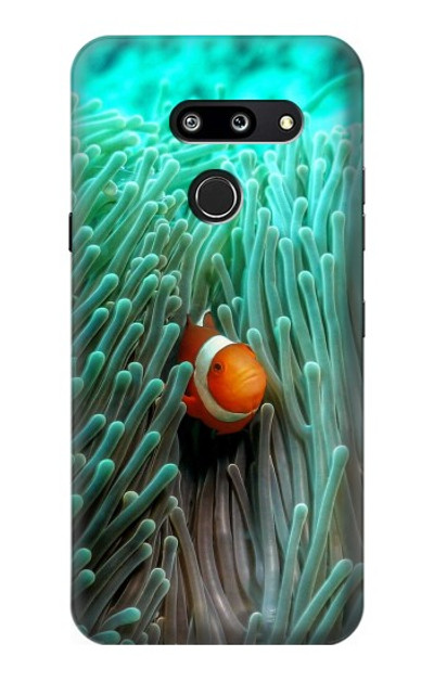 S3893 Ocellaris clownfish Case Cover Custodia per LG G8 ThinQ