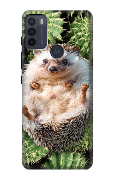 S3863 Pygmy Hedgehog Dwarf Hedgehog Paint Case Cover Custodia per Motorola Moto G50