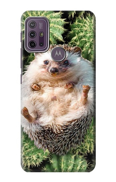 S3863 Pygmy Hedgehog Dwarf Hedgehog Paint Case Cover Custodia per Motorola Moto G10 Power