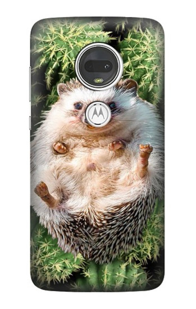S3863 Pygmy Hedgehog Dwarf Hedgehog Paint Case Cover Custodia per Motorola Moto G7, Moto G7 Plus