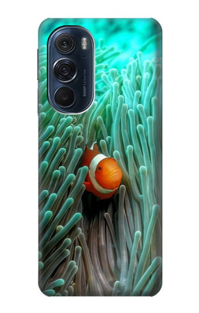 S3893 Ocellaris clownfish Case Cover Custodia per Motorola Edge X30