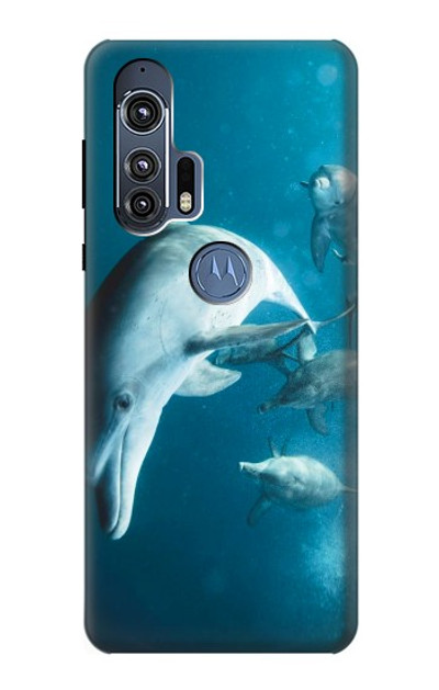 S3878 Dolphin Case Cover Custodia per Motorola Edge+