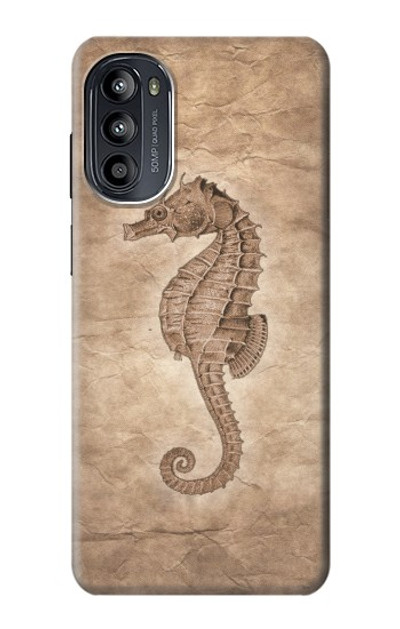 S3214 Seahorse Skeleton Fossil Case Cover Custodia per Motorola Moto G52, G82 5G