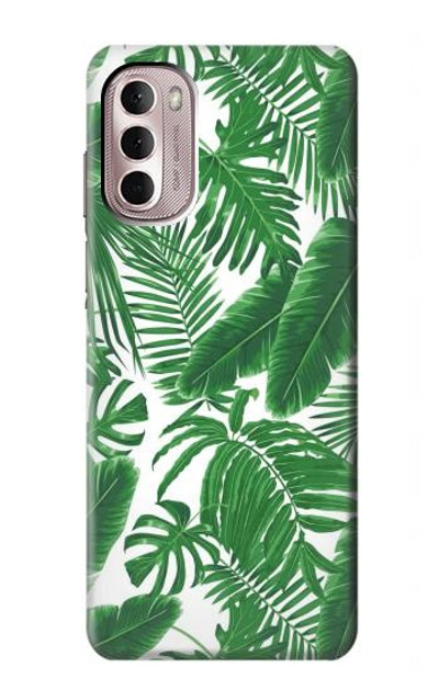 S3457 Paper Palm Monstera Case Cover Custodia per Motorola Moto G Stylus 4G (2022)