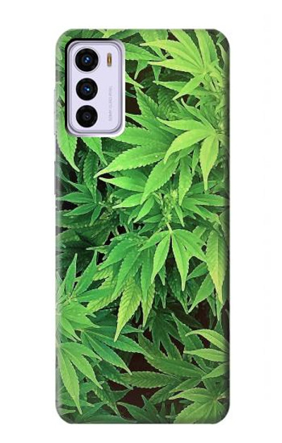 S1656 Marijuana Plant Case Cover Custodia per Motorola Moto G42