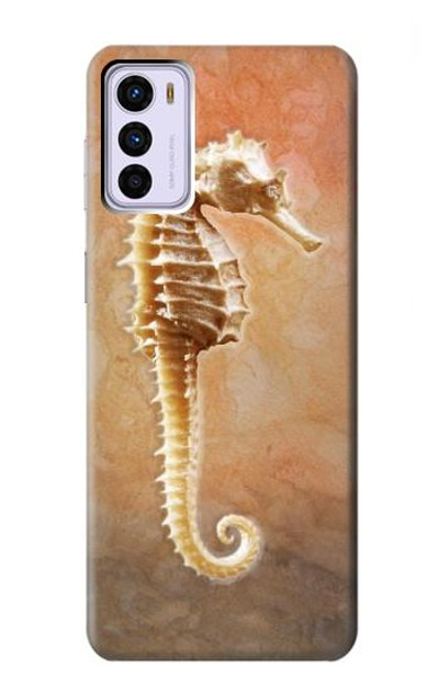 S2674 Seahorse Skeleton Fossil Case Cover Custodia per Motorola Moto G42