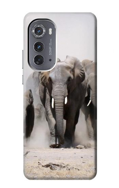 S3142 African Elephant Case Cover Custodia per Motorola Edge (2022)