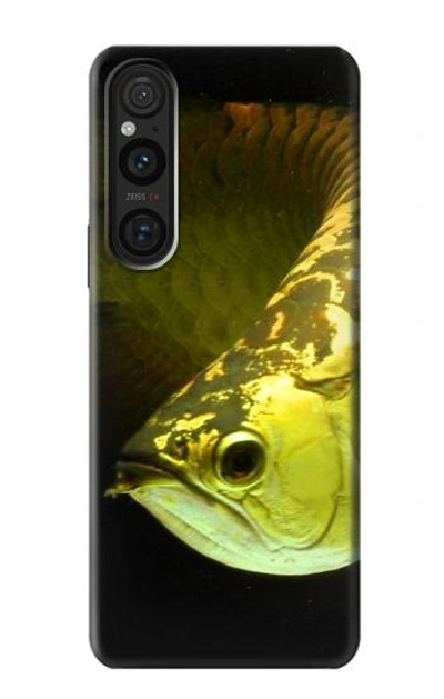 S1021 Gold Arowana Fish Case Cover Custodia per Sony Xperia 1 V S1021 Gold Arowana Fish Case Cover Custodia per Sony Xperia 1 V
