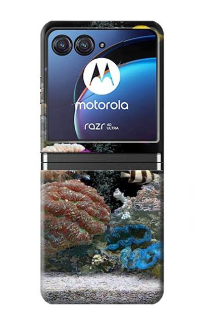 S0226 Aquarium Case Cover Custodia per Motorola Razr 40 Ultra