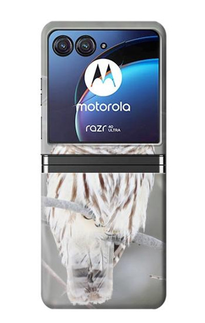 S1566 Snowy Owl White Owl Case Cover Custodia per Motorola Razr 40 Ultra