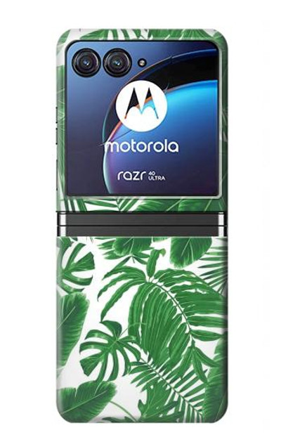 S3457 Paper Palm Monstera Case Cover Custodia per Motorola Razr 40 Ultra
