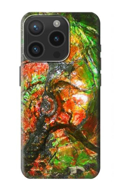 S2694 Ammonite Fossil Case Cover Custodia per iPhone 15 Pro