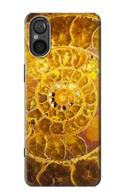S1789 Ammonite Fossils Case Cover Custodia per Sony Xperia 5 V S1789 Ammonite Fossils Case Cover Custodia per Sony Xperia 5 V