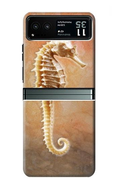 S2674 Seahorse Skeleton Fossil Case Cover Custodia per Motorola Razr 40