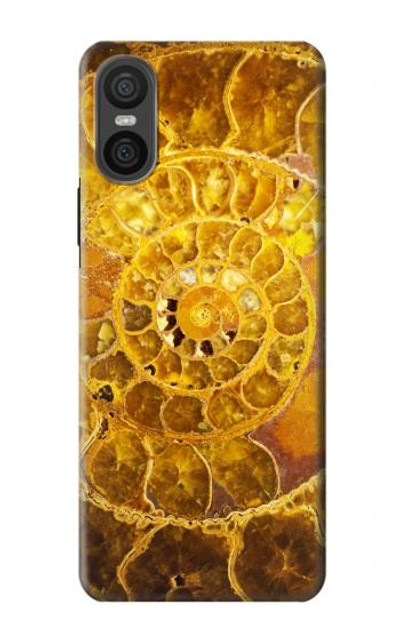 S1789 Ammonite Fossils Case Cover Custodia per Sony Xperia 10 VI S1789 Ammonite Fossils Case Cover Custodia per Sony Xperia 10 VI