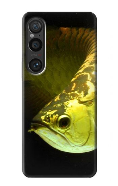 S1021 Gold Arowana Fish Case Cover Custodia per Sony Xperia 1 VI S1021 Gold Arowana Fish Case Cover Custodia per Sony Xperia 1 VI