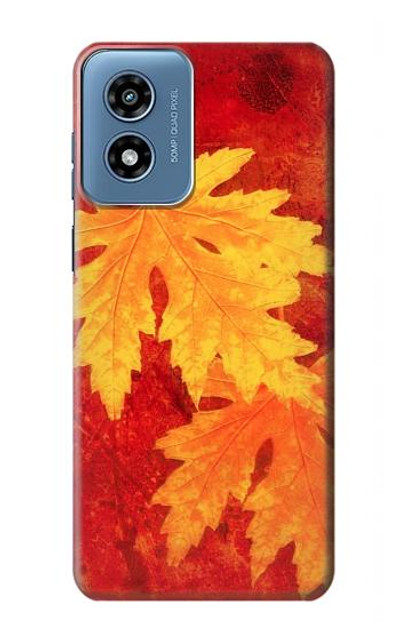 S0479 Maple Leaf Case Cover Custodia per Motorola Moto G Play 4G (2024)
