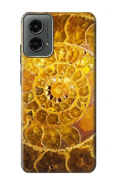 S1789 Ammonite Fossils Case Cover Custodia per Motorola Moto G 5G (2024)