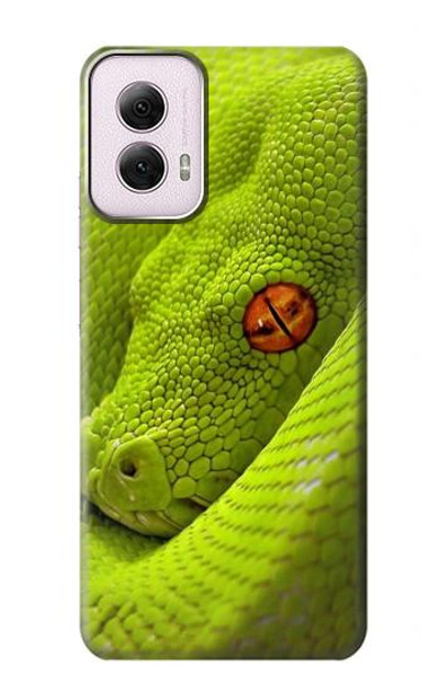 S0785 Green Snake Case Cover Custodia per Motorola Moto G Power 5G (2024)