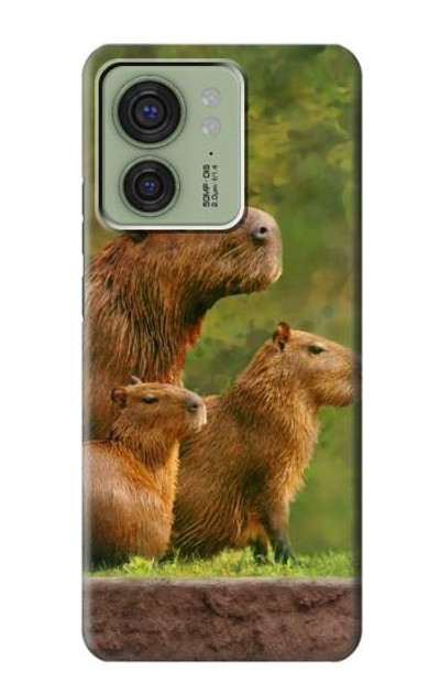 S3917 Capybara Family Giant Guinea Pig Case Cover Custodia per Motorola Edge (2023), Edge 40