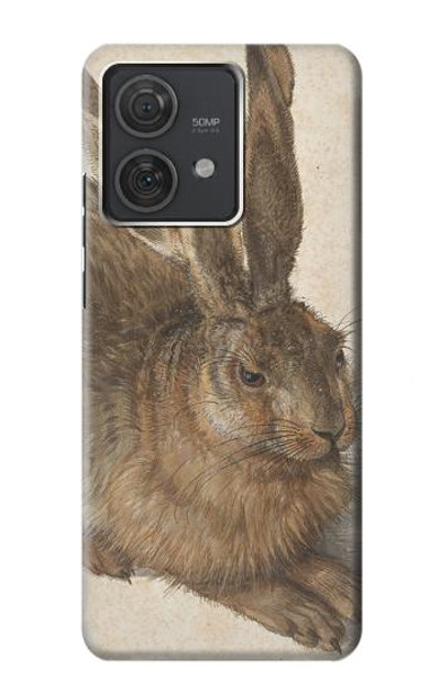 S3781 Albrecht Durer Young Hare Case Cover Custodia per Motorola Edge 40 Neo