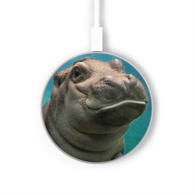 S3871 Cute Baby Hippo Hippopotamus Caricabatterie wireless da 15W, tipo C, per iPhone e Android, con luce LED