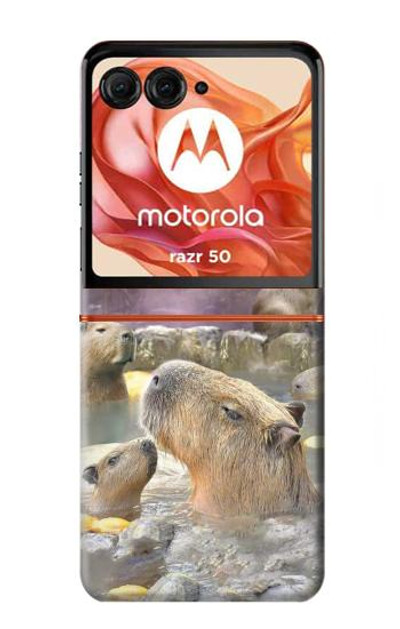 S4030 Capybara Hot Spring Case Cover Custodia per Motorola Razr 50