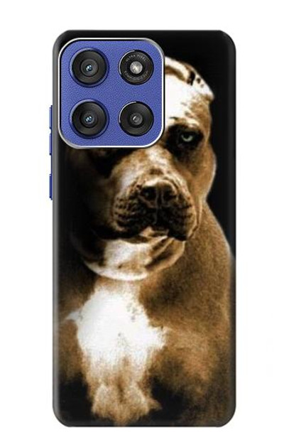 S0520 PitBull Case Cover Custodia per Motorola Moto G Stylus 5G (2025), Edge 60 Stylus
