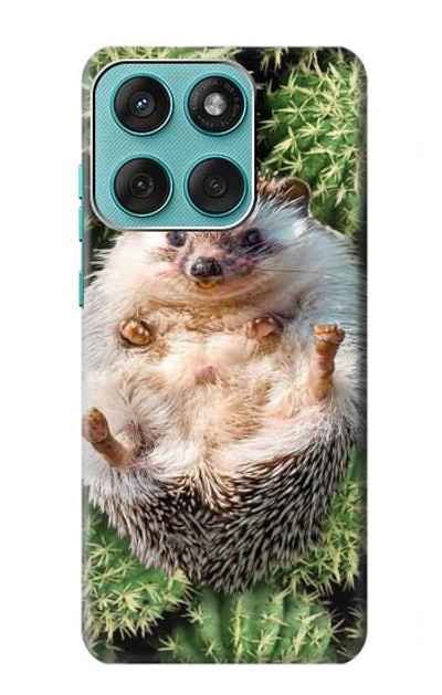 S3863 Pygmy Hedgehog Dwarf Hedgehog Paint Case Cover Custodia per Motorola Edge 60 Fusion