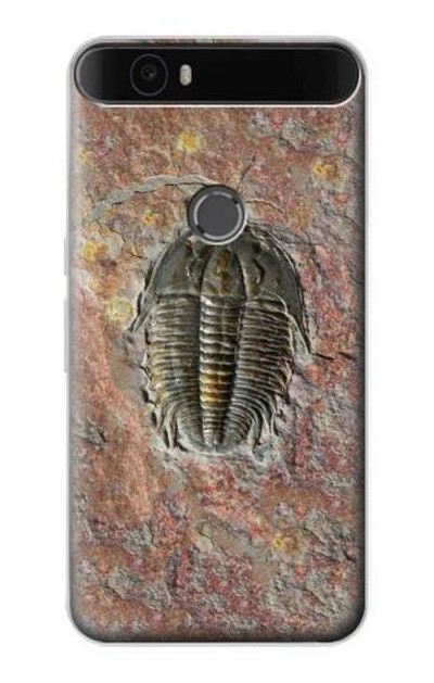 S1454 Trilobite Fossil Case Cover Custodia per Huawei Nexus 6P