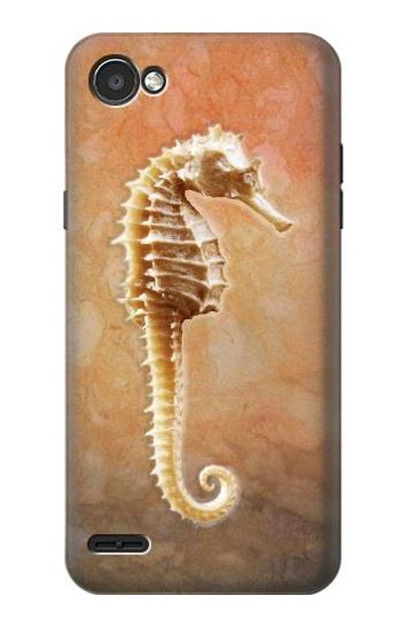 S2674 Seahorse Skeleton Fossil Case Cover Custodia per LG Q6