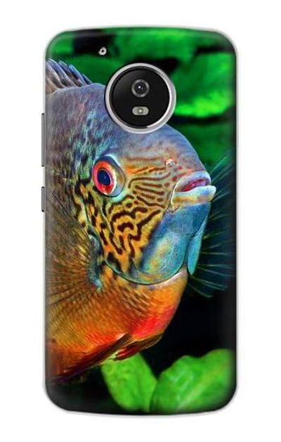 S1812 Cichlid Fish Case Cover Custodia per Motorola Moto G5