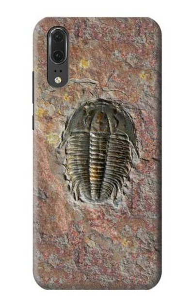 S1454 Trilobite Fossil Case Cover Custodia per Huawei P20