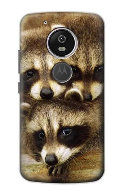 S0977 Baby Raccoons Case Cover Custodia per Motorola Moto G6 Play, Moto G6 Forge, Moto E5