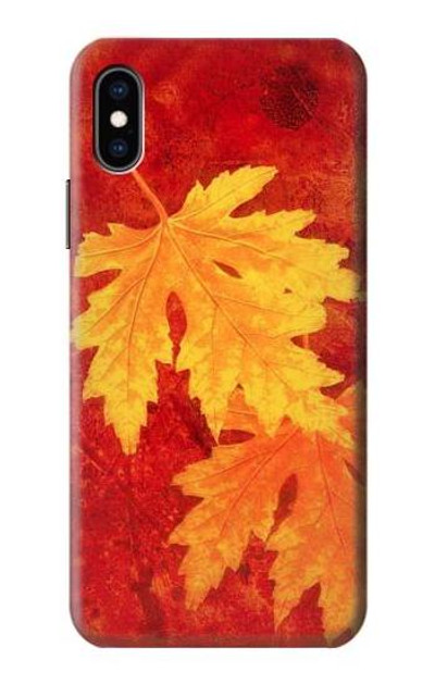 S0479 Maple Leaf Case Cover Custodia per iPhone X, iPhone XS