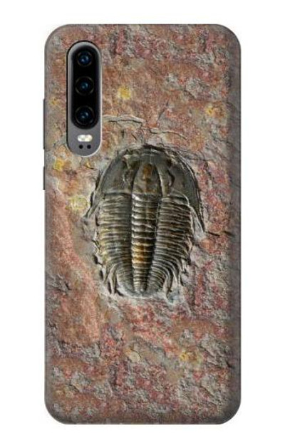 S1454 Trilobite Fossil Case Cover Custodia per Huawei P30