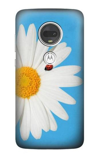 S3043 Vintage Daisy Lady Bug Case Cover Custodia per Motorola Moto G7, Moto G7 Plus