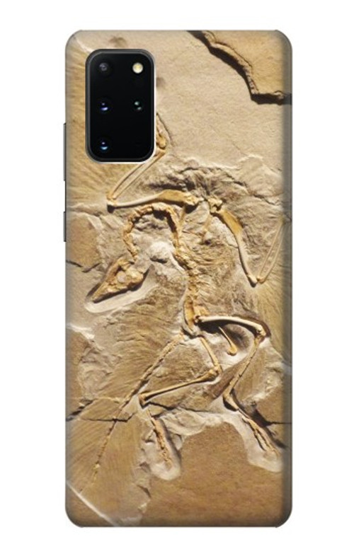 S0380 Dinosaur Fossil Case Cover Custodia per Samsung Galaxy S20 Plus, Galaxy S20+
