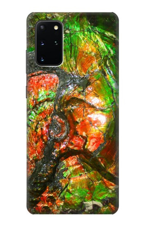 S2694 Ammonite Fossil Case Cover Custodia per Samsung Galaxy S20 Plus, Galaxy S20+