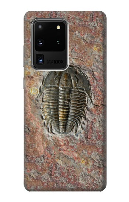 S1454 Trilobite Fossil Case Cover Custodia per Samsung Galaxy S20 Ultra