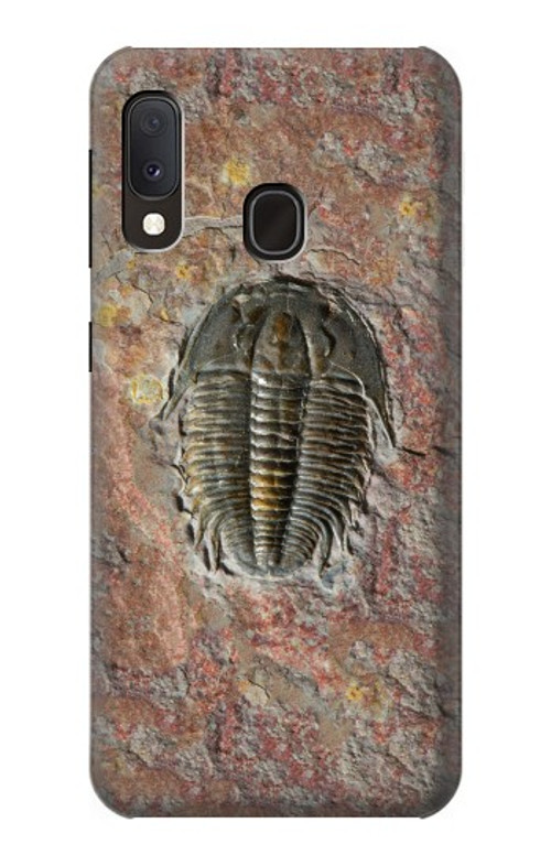 S1454 Trilobite Fossil Case Cover Custodia per Samsung Galaxy A20e