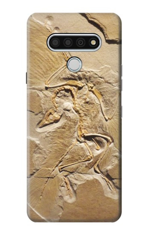 S0380 Dinosaur Fossil Case Cover Custodia per LG Stylo 6